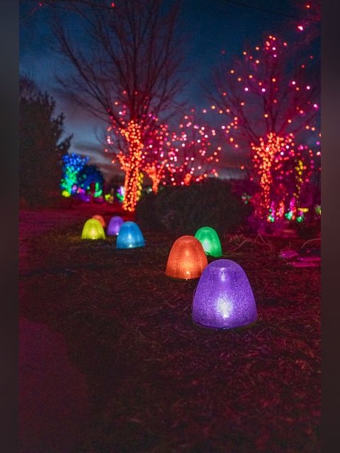 Garden of Lights