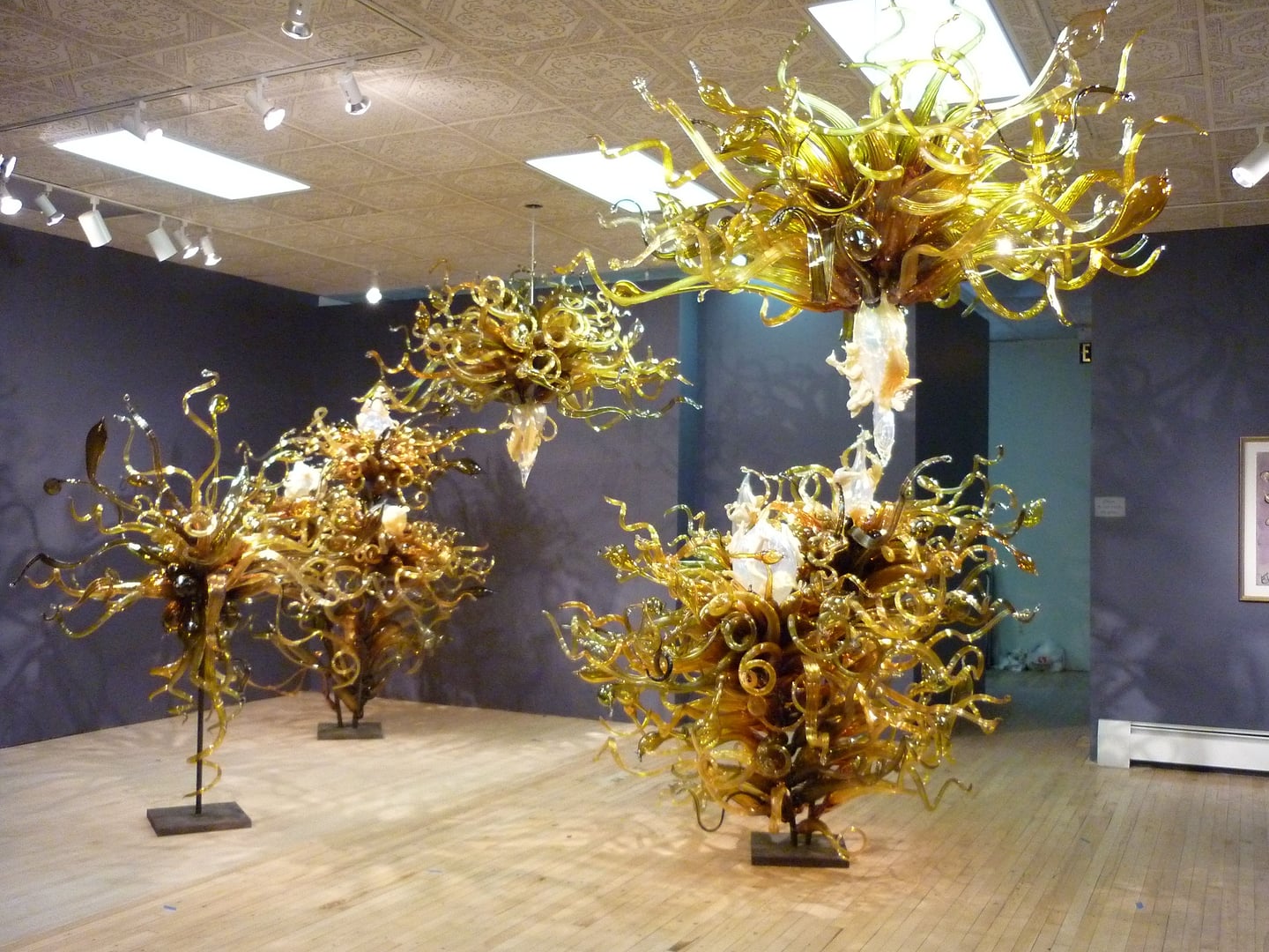 Museum of Art | Fort Collins
