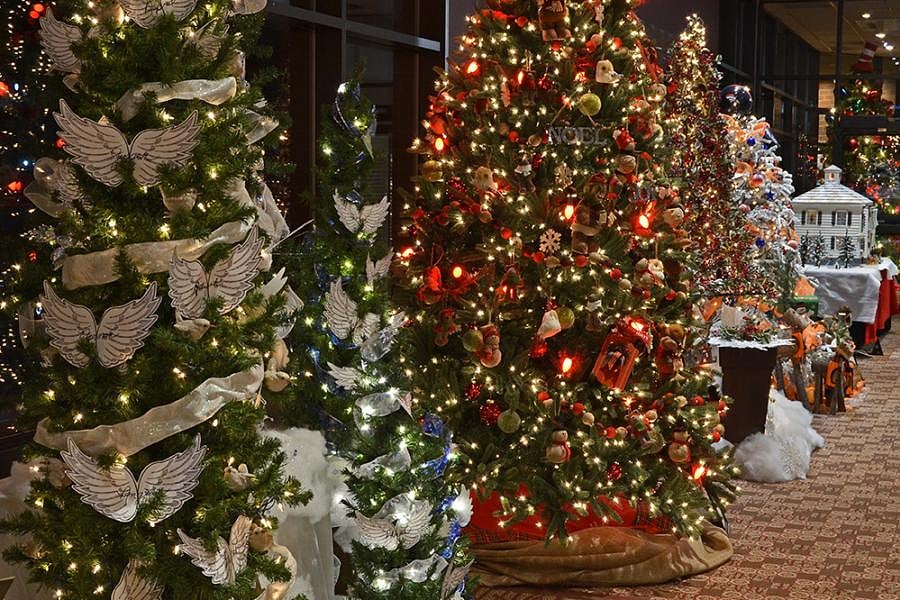 Festival of Trees - Greeley
