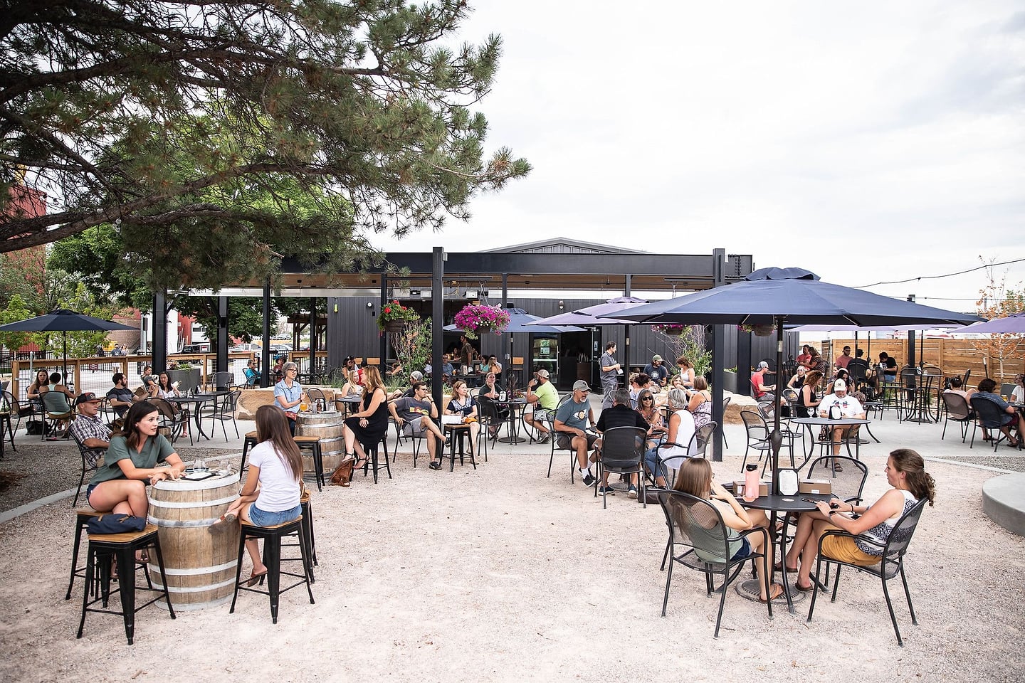 The OBC Wine Project